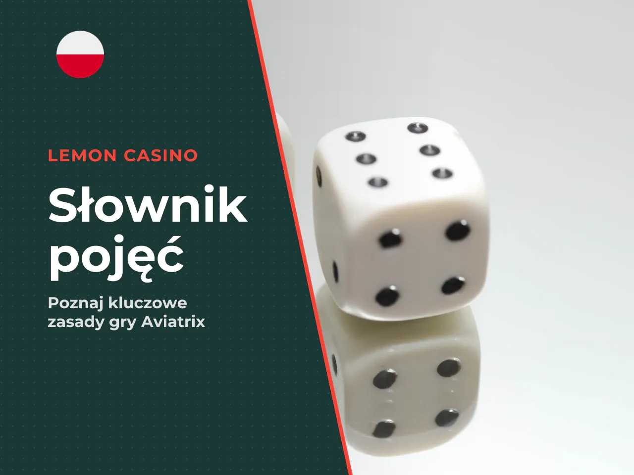Słownik podstawowych pojęć Aviatrix. Zanim przejdziesz dalej, zapoznaj się z kluczowymi terminami: