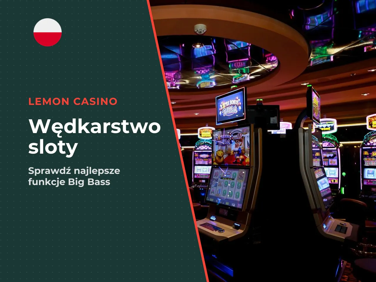 Gry te trzymają się motywów łowienia ryb, oferując lekko zmodyfikowane wskaźniki matematyczne. Bigger Bass Bonanza to bezpośredni następca z 10-krotnie wyższym maksymalnym wyigryshem — co robi wrażeni